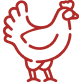 Drób - kurczak